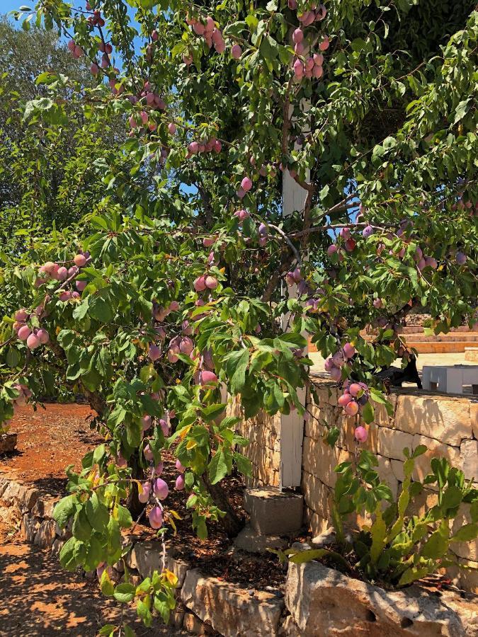 Dimore Storiche - Ulivo Di Aldo Martina Franca Eksteriør bilde